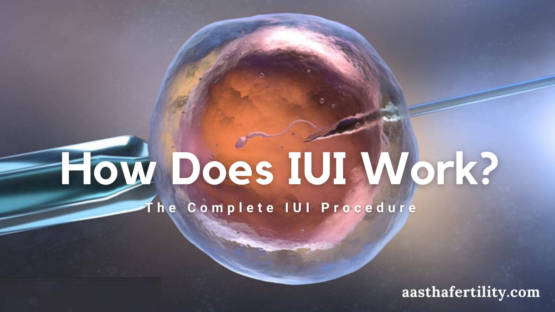 How does IUI work?