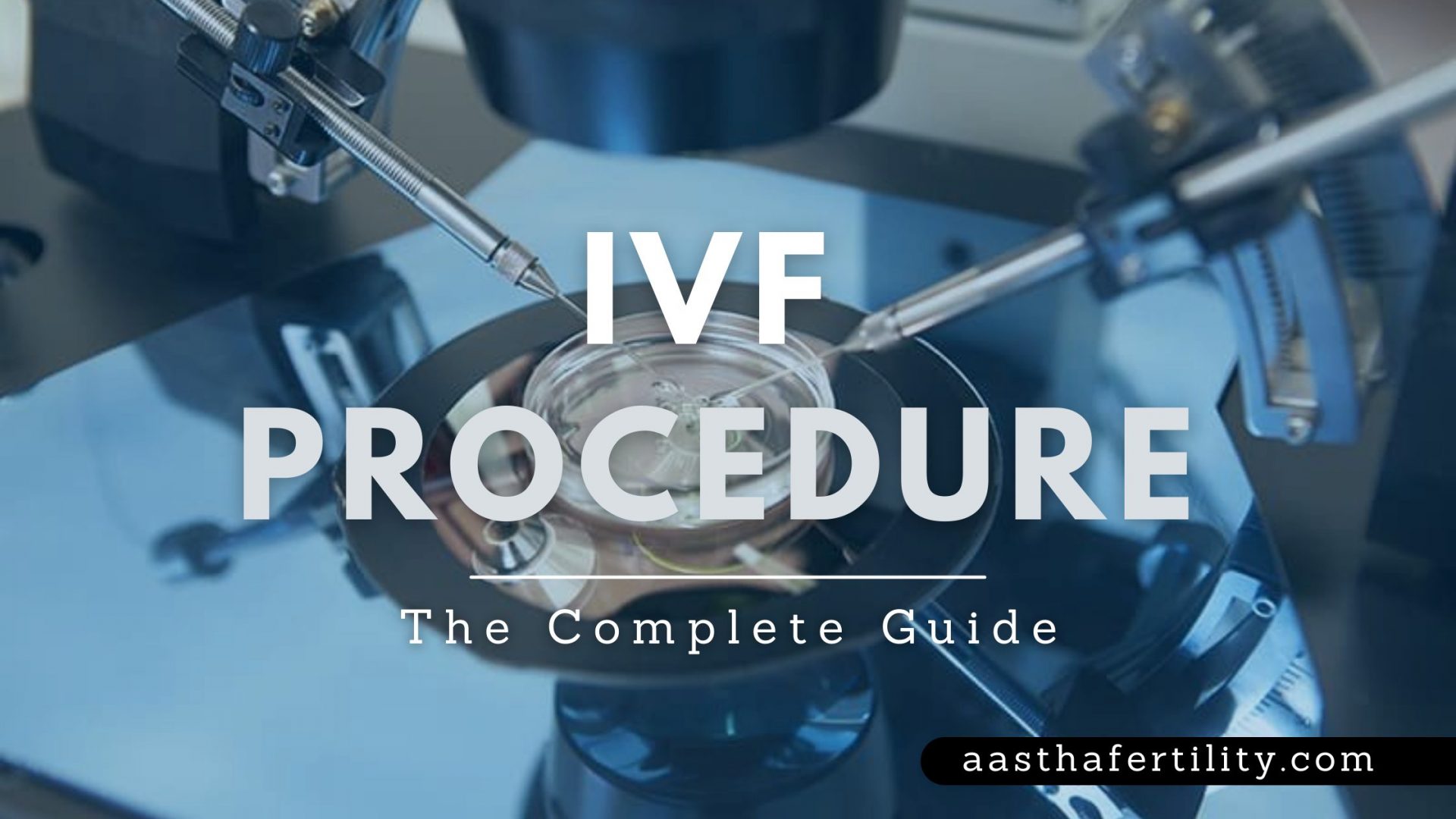 IVF Procedure Step By Step The Complete Guide